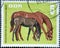 GERMANY, DDR - CIRCA 1967: a postage stamp from Germany, GDR showing a Mother mare with foal. Text: Whole blood meeting of the soc
