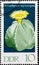 GERMANY, DDR - CIRCA 1970: a postage stamp from Germany, GDR showing a cactus blossom bishop`s hat, Astrophytum myriostigma