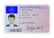 Germany driver license card, cartoon style