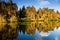 Germany,Hamburg, Trees reflecting in water