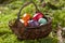 Germany, Lower Bavaria, Variety of Easter eggs in basket on moss