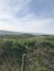 Germany nature hill beautiful nature good view blue sky view