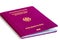 Germany passport white background