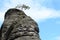 Germany, Saxony: A tree on top of a mountain