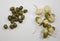 Germinated and dry mung bean pieces comparsion on white background