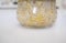 Germinated soybean sprouts glass jar over kitchen countertop