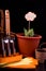 Germinated tulips, basket, rakes and peat pot with soil for plan