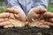 the germination of the tree and the hands where the plant is being planted