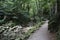 Geroldsau Waterfall, river Grobach Baden-Baden in the Black Forest