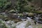 Geroldsau Waterfall, river Grobach Baden-Baden in the Black Forest