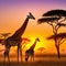 the Gerrafe visit luxury hotel at sunset after safari excurison in the African savannah