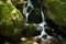 Gertelbach waterfalls, Black Forest, Germany