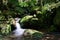 Gertelbach waterfalls, Black Forest, Germany