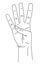 Gesture in the form of four fingers, index, middle, nameless, little finger, raised upward. The hand shows the number