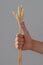 Gesture - thumb up everything will be fine with the hand of a person holding a bunch of wheat ears on a light background.