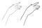 Gestures. Graceful hand of a woman. Graphic line drawing. Vector illustration