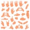 Gesturing hands. Communication hand gesture, pointing, counting fingers, ok sign, palm gesture language vector