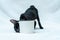 Get ready for an entertaining show as this small black kitten engages in playful antics around a white blank mug