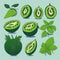 Get Refreshed with Realistic and Detailed Illustrations of Kiwi Fruit.