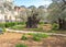 Gethsemane garden, Mount of Olives, Jerusalem Israel. Biblical place where Jesus prayed before his betrayal and capture