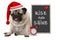 Getting up in early morning, grumpy pug puppy dog with red sleeping cap, alarm clock and sign with text rise and shine