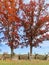 Gettysburg Battlefield in Autumn