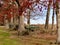 Gettysburg Battlefield in Autumn