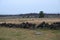 Gettysburg Battlefield Stone Wall