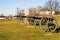 Gettysburg Cannon - 3