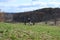 Gettysburg Cemetery Hill