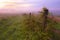 Gettysburg, PA /USA- Summer 2018. Sunrise over misty grassland with wooden fence in the foreground.