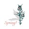 Geum rivale. Spring! Greeting card with a bouquet of flowers. Lettering. Hand drawn.