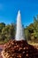 Geyser in Andernach in the starting phase against blue sky