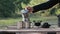 A geyser coffee maker stands on the burner along with cups and treats against the backdrop of beautiful nature