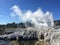 Geyser erupts with white smoke, Te Puia