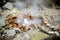 Geyser Furnas, on Sao Miguel Island, Azores