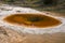 Geyser and hot spring in old faithful basin in Yellowstone National Park