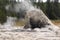 Geyser and hot spring in old faithful basin in Yellowstone National Park