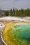 Geyser and hot spring in old faithful basin in Yellowstone National Park