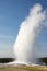 Geyser and hot spring in old faithful basin in Yellowstone National Park