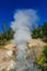 Geyser at Mud Volcano