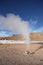 Geyser in Natural reserve Eduardo Avaroa in Bolivia