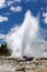 Geyser in New Zealand Rotorua