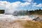 Geyser in New Zealand Rotorua