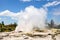 Geyser in New Zealand Rotorua