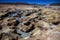 Geyser Sol de Manana in Bolivia