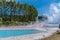 Geyser at Wairakei Terraces in New Zealand