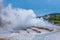 Geyser at Wairakei Terraces in New Zealand