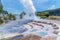 Geyser at Wairakei Terraces in New Zealand