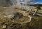 Geyser in Yellowstone National Park